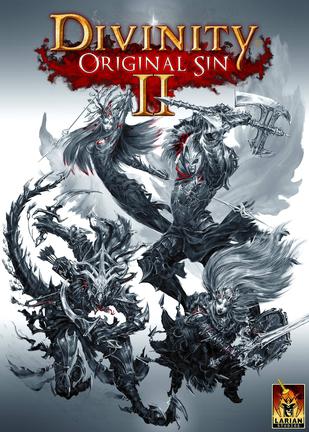 Divinity: Original Sin 2 - Definitive Edition